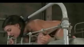ჩემი pussy არის twisted მიერ მამალი.