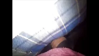 ხარ სტუდენტი ბუნებაში.