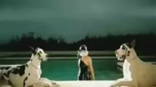Lesbians მოუტანს ერთმანეთს ორგაზმი.
