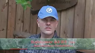 Kurva აძლევს ბიჭი დილით ადრე.